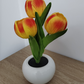 Tulip Table Lamp